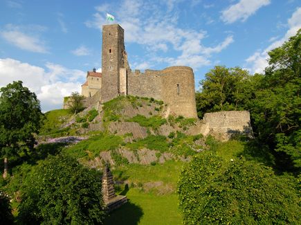 Eine Burg auf einer Anhöhe umgeben von Bäumen.