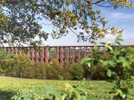 Vor Göltzschtalbrücke im Vogtland sind eine Wiese und Bäume.