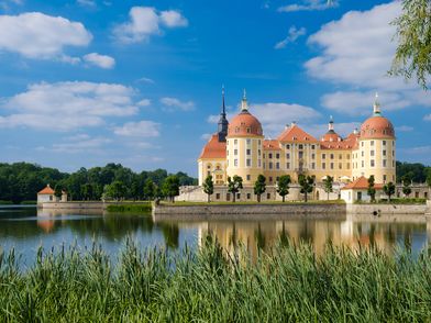 Im Vordergrund befindet sich eine grüne Hecke. Dahinter liegt ein Teich. Im Hintergrund ist Schloss Moritzburg mit seinen vier gelben Türmen.