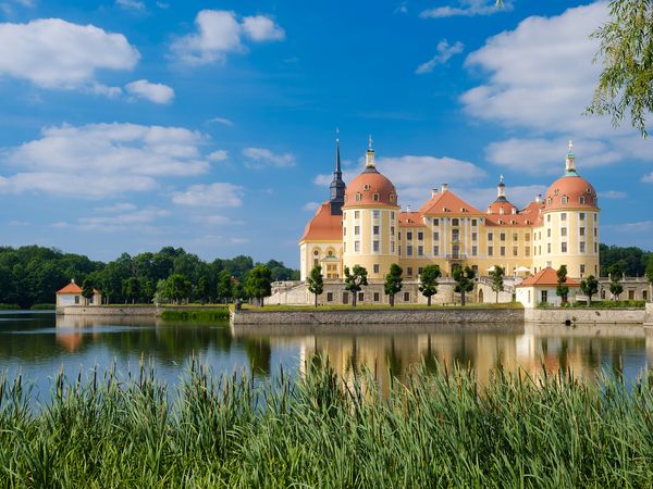 Im Vordergrund befindet sich eine grüne Hecke. Dahinter liegt ein Teich. Im Hintergrund ist Schloss Moritzburg mit seinen vier gelben Türmen.
