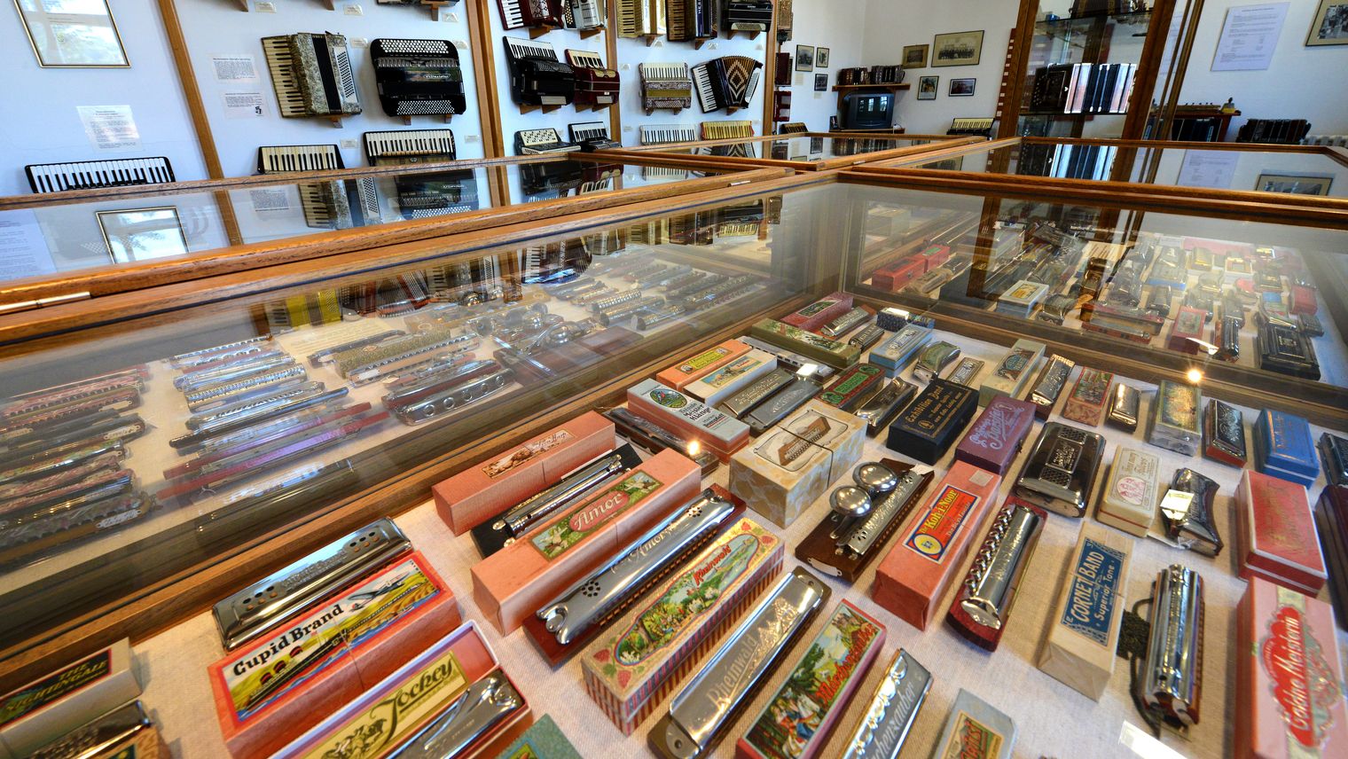 Blick in die Ausstellung des Harmonikamuseums mit historischen Instrumenten in Vitrinen und an den Wänden.