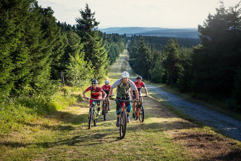 Eine Gruppe fährt mit ihren Mountainbikes zwischen einem Waldgebiet den Berg hinauf.