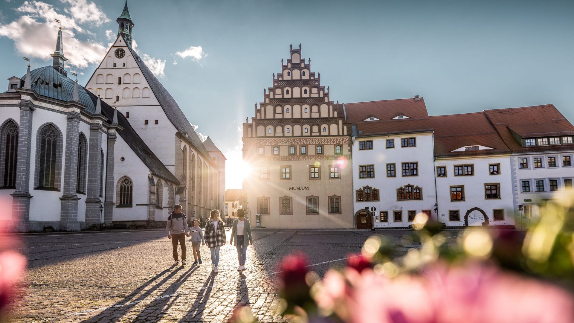Stadtansicht von Freiberg mit Dom im Sommer / City view of Freiberg with cathedral in summer