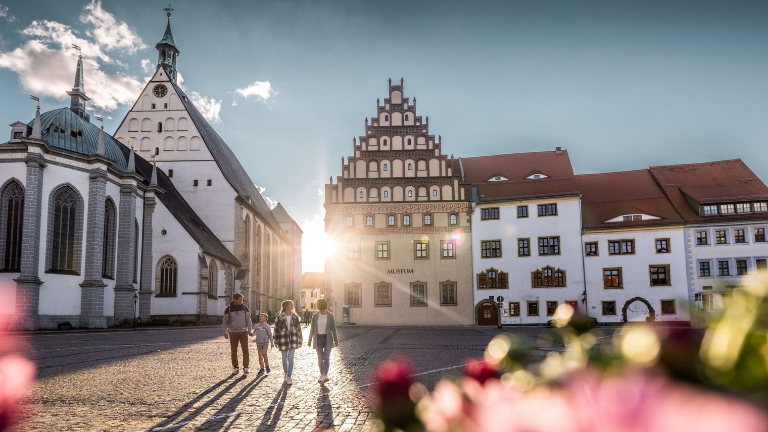 Stadtansicht von Freiberg mit Dom im Sommer / City view of Freiberg with cathedral in summer