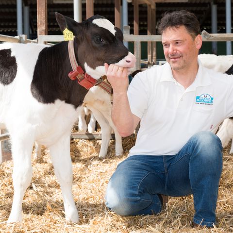 Ein Mann hockt neben einem Kalb. Er ist von der Milchwelt Krabat. 