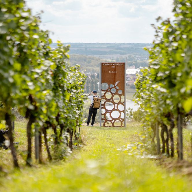 Sächsischer Weinwanderweg, Schönste Weinsicht in Diesbar-Seusslitz