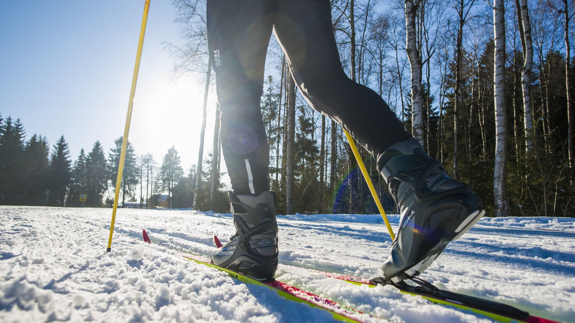 Langlauf-Ski in der Loipe