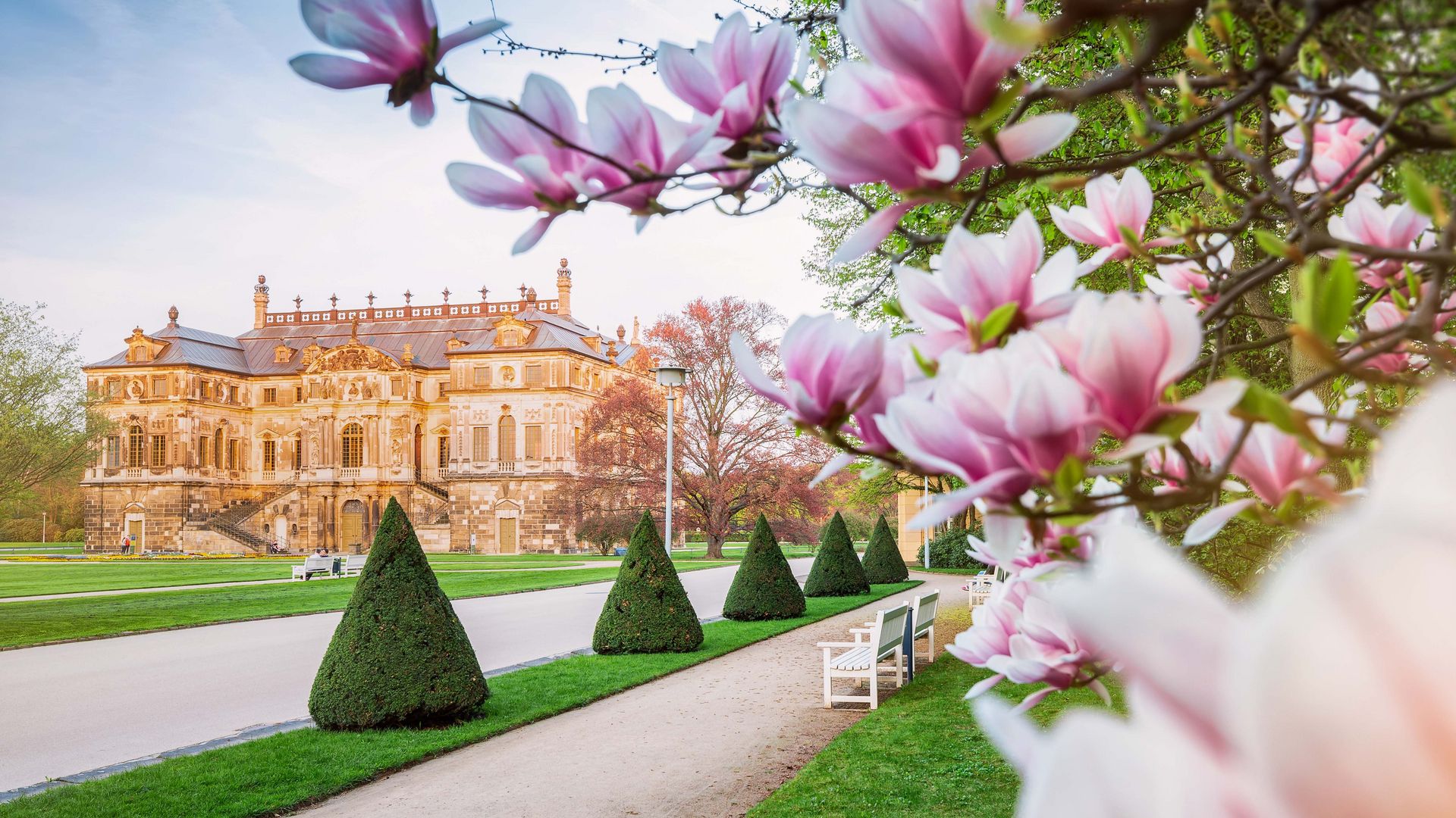 Das Palais Blume in Dresden im Sommer, im Vordergrund blühen Blumen