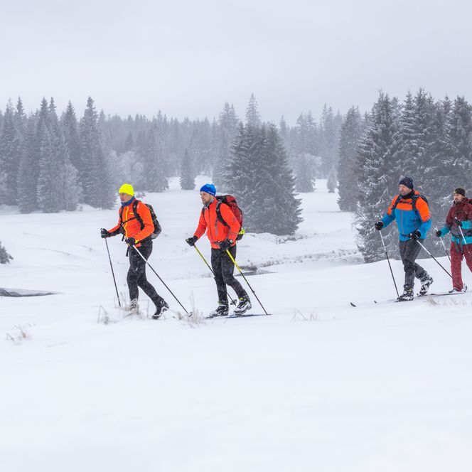 Stoneman Miriquid Snow