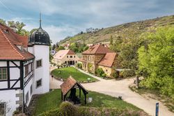 Sächsisches Weinbaumuseum in Radebeul im Sommer / Saxony Wine Museum in Radebeul in summer