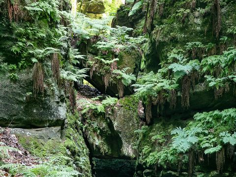 Das Steintor im Uttewalder Grund