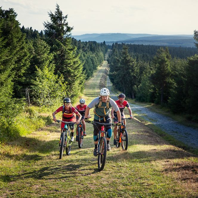 Vier Mountainbiker fahren auf einem Weg auf dem Stoneman Miriquidi. Links und Rechts ist Wald. 