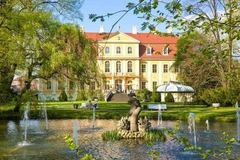 Das gelbe Schloss von Rammenau steht hinter einem Schlossteich in einem Park. 