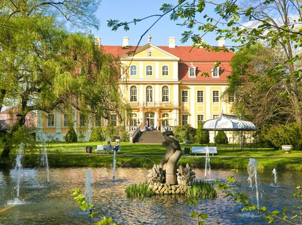 Das gelbe Schloss von Rammenau steht hinter einem Schlossteich in einem Park. 