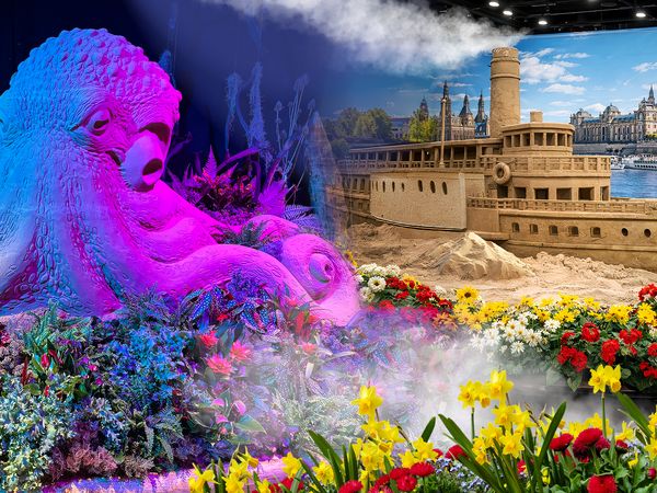 Collage Oktopus mit Dampfer, Blütenwunder