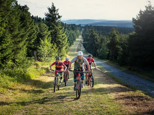 Eine Gruppe fährt mit ihren Mountainbikes zwischen einem Waldgebiet den Berg hinauf.