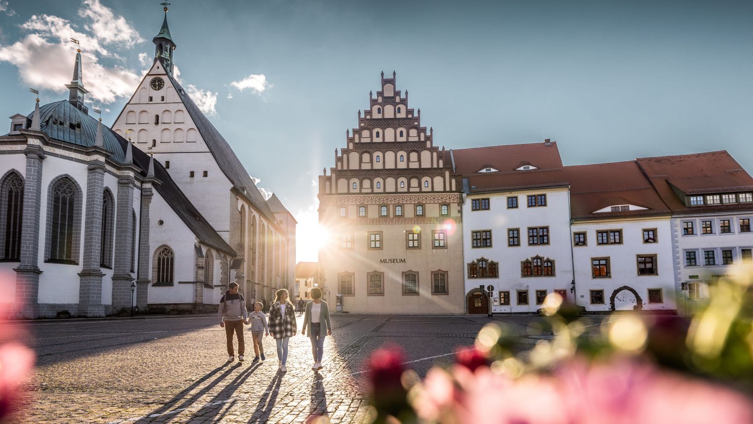 Stadtansicht von Freiberg mit Dom im Sommer / City view of Freiberg with cathedral in summer