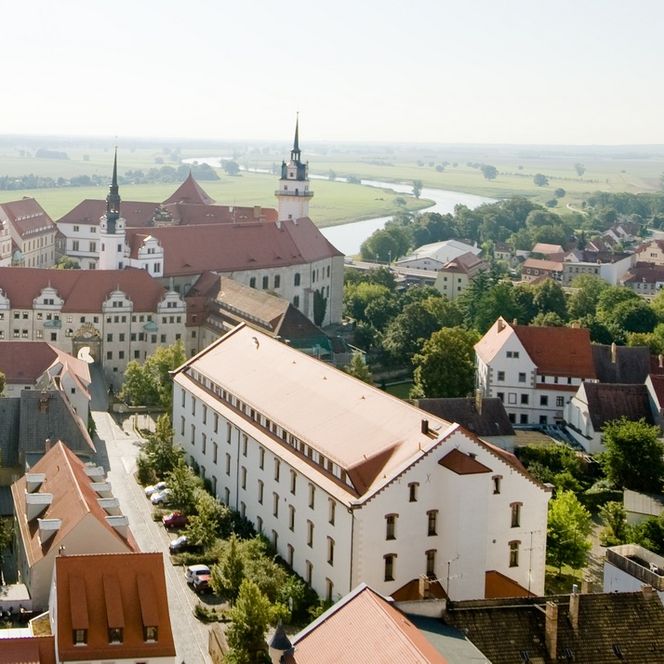 Die Häuser von Torgau stehen neben der Elbe. Eine Brücke führt in die Stadt.