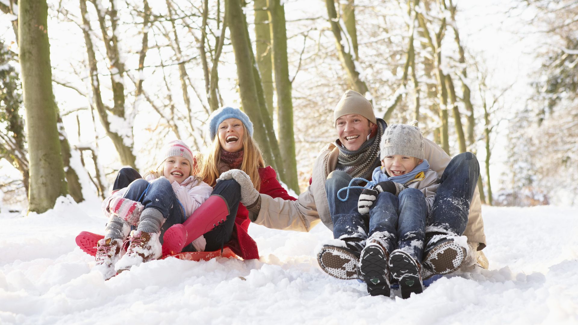 Mama und Tochter und Papa und Sohn rodeln auf Plastikschlitten vergnügt durch den Winterwald.