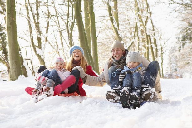 Mama und Tochter und Papa und Sohn rodeln auf Plastikschlitten vergnügt durch den Winterwald.