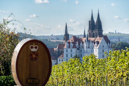 Sächsischer Weinwanderweg, Blick von den Weinbergen auf die Albrechtsburg in Meissen