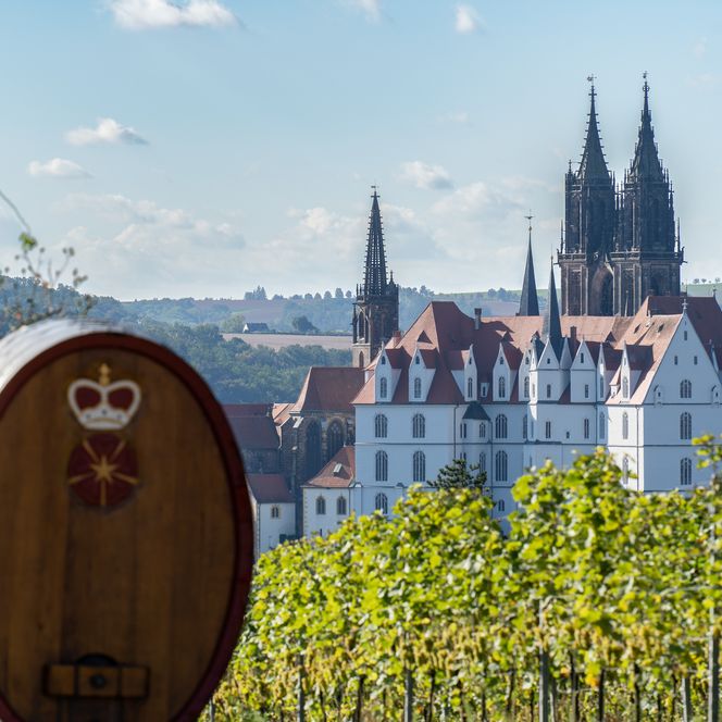 Sächsischer Weinwanderweg, Blick von den Weinbergen auf die Albrechtsburg in Meissen