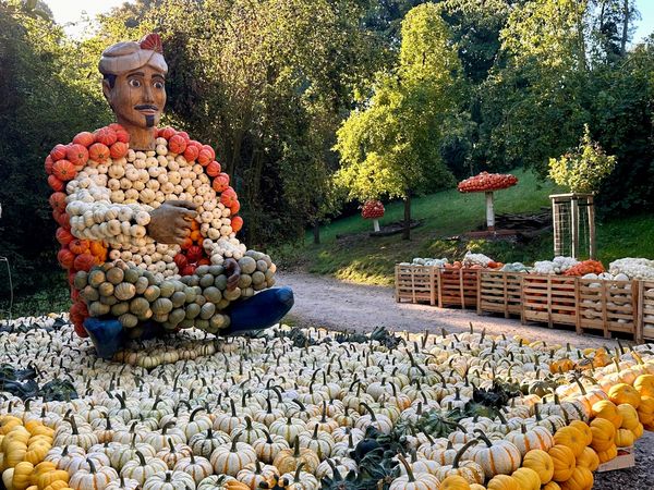 Kürbishausen, Aladin wartet geduldig auf seine Wunderlampe