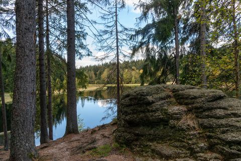 Ein romantisches Fleckchen am See im Wald. Es ist der Vogtlandsee bei Morgenröthe-Rautenkranz. 