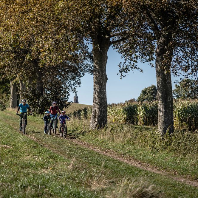 Eine Familie fährt auf ihren Mountainbikes an einem Feld entlang.