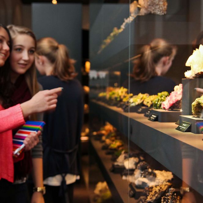 Junge Besucherinnen stehen vor einer Vitrine mit Mineralien in der terra mineralia