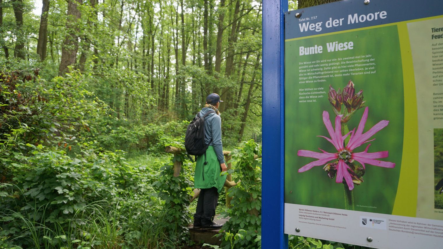 Infotafel auf dem Naturlehrpfad Pressel im im Naturpark Dübener Heide