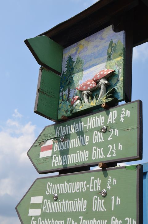 Ein grüner Wegweiser zeigt auf die touristischen Ziele in Saupsdorf. 