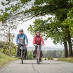 Musikantenradweg, Bismarcksäule