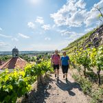 Sächsischer Weinwanderweg, Weingenuss, Schloss Wackerbarth in Radebeul