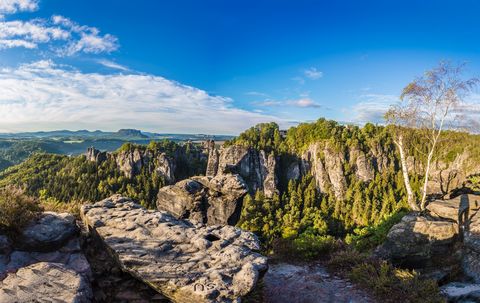 Malerweg - Wanderweg in der Sächsischen Schweiz, Panorama Wehlgrund und Bastei am Morgen