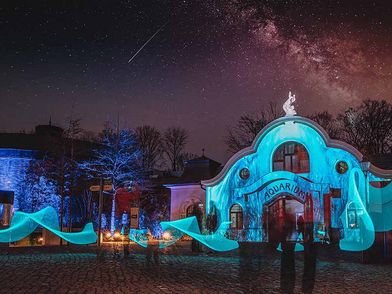 Fassadenprojektion auf dem historischen Aquarium