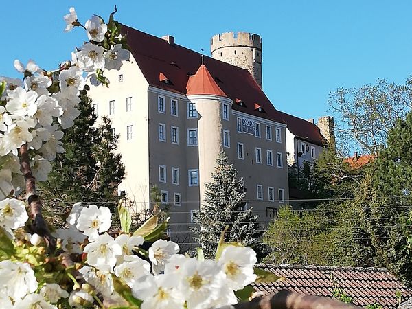 Ansicht Burg Gnandstein mit Kirschblüte