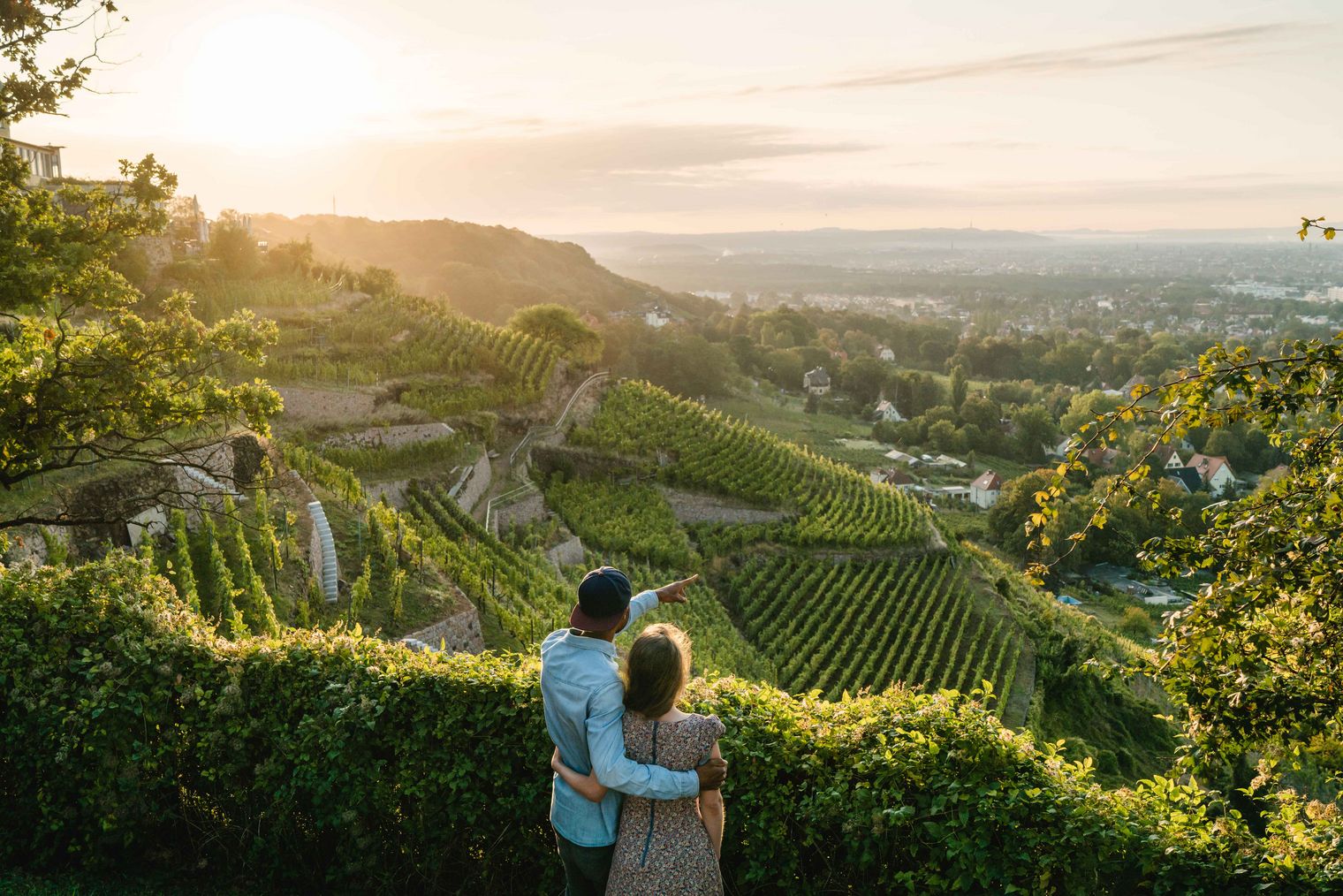 Sächsischer Weinwanderweg, Blick über die Weinberger in Radebeul