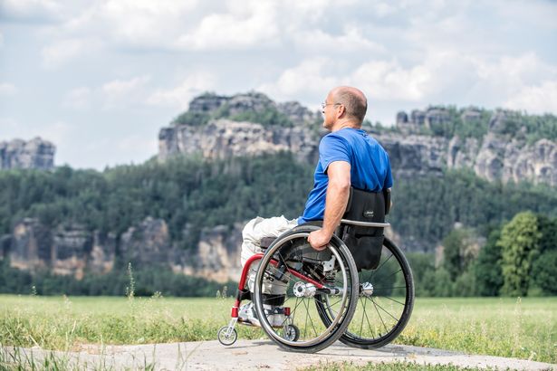 Mit dem Rollstuhl kann man auch in der Sächsischen Schweiz "wandern"