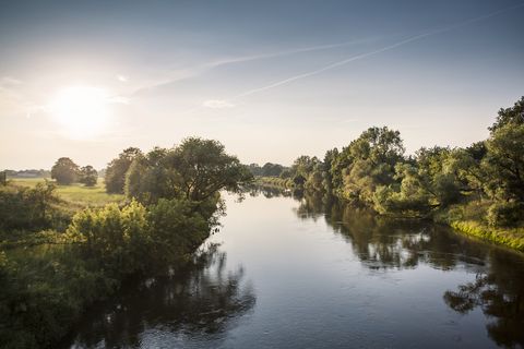 Blick auf die Mulde und das Ufer, das von Bäumen und Wiesen gesäumt ist.