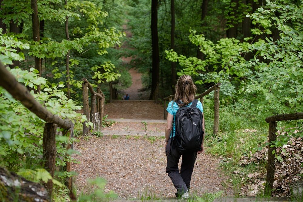 Wanderin im Wald im Naturpark Dübener Heide