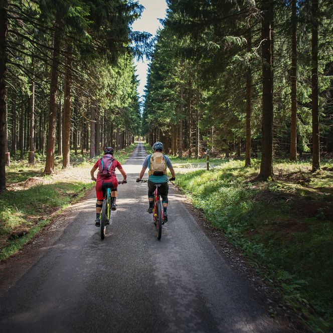 Eine Frau und ein Mann fahren durch ein Waldgebiet mit ihren Mountainbikes.
