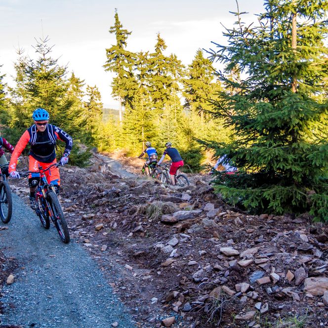 Stoneman Miriquidi MTB