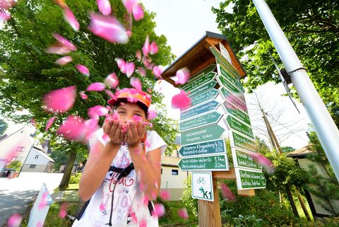 Ein Mädchen hat Blüten in ihrer Hand, die sie wegpustet. Sie steht am Wegweiser am Hotel Erbgericht in Höckendorf. 