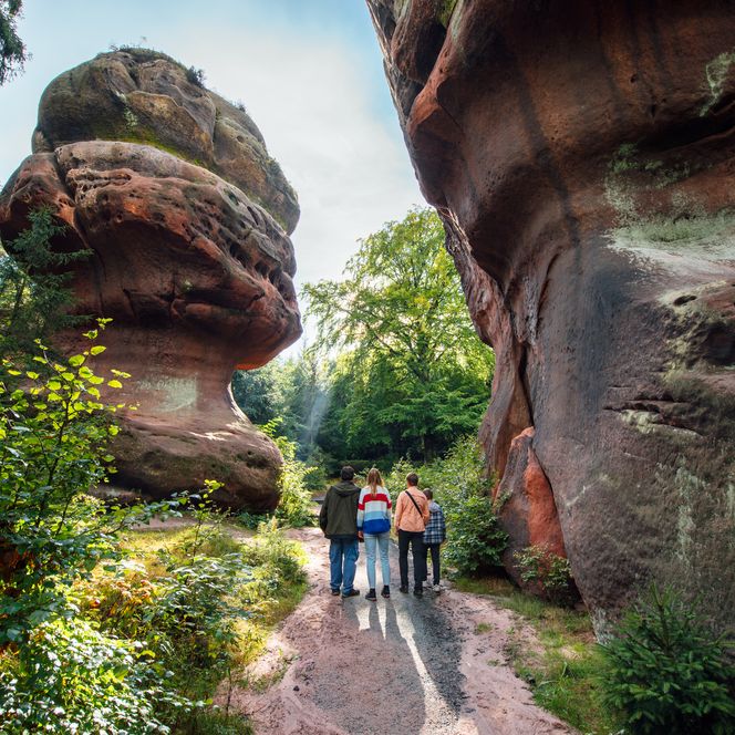 Qualitätswanderweg Oberlausitzer Bergweg, Kelchsteine im Zittauer Gebirge