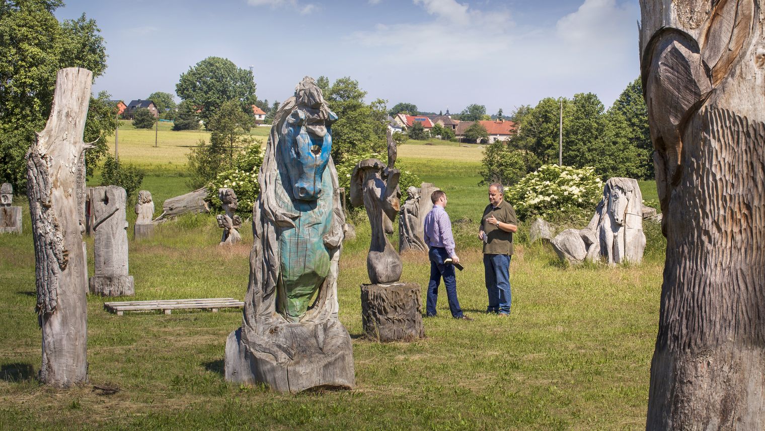 Wiese mit Holzskulpturen auf der Heide-Biber-Tour im Naturpark Dübener Heide