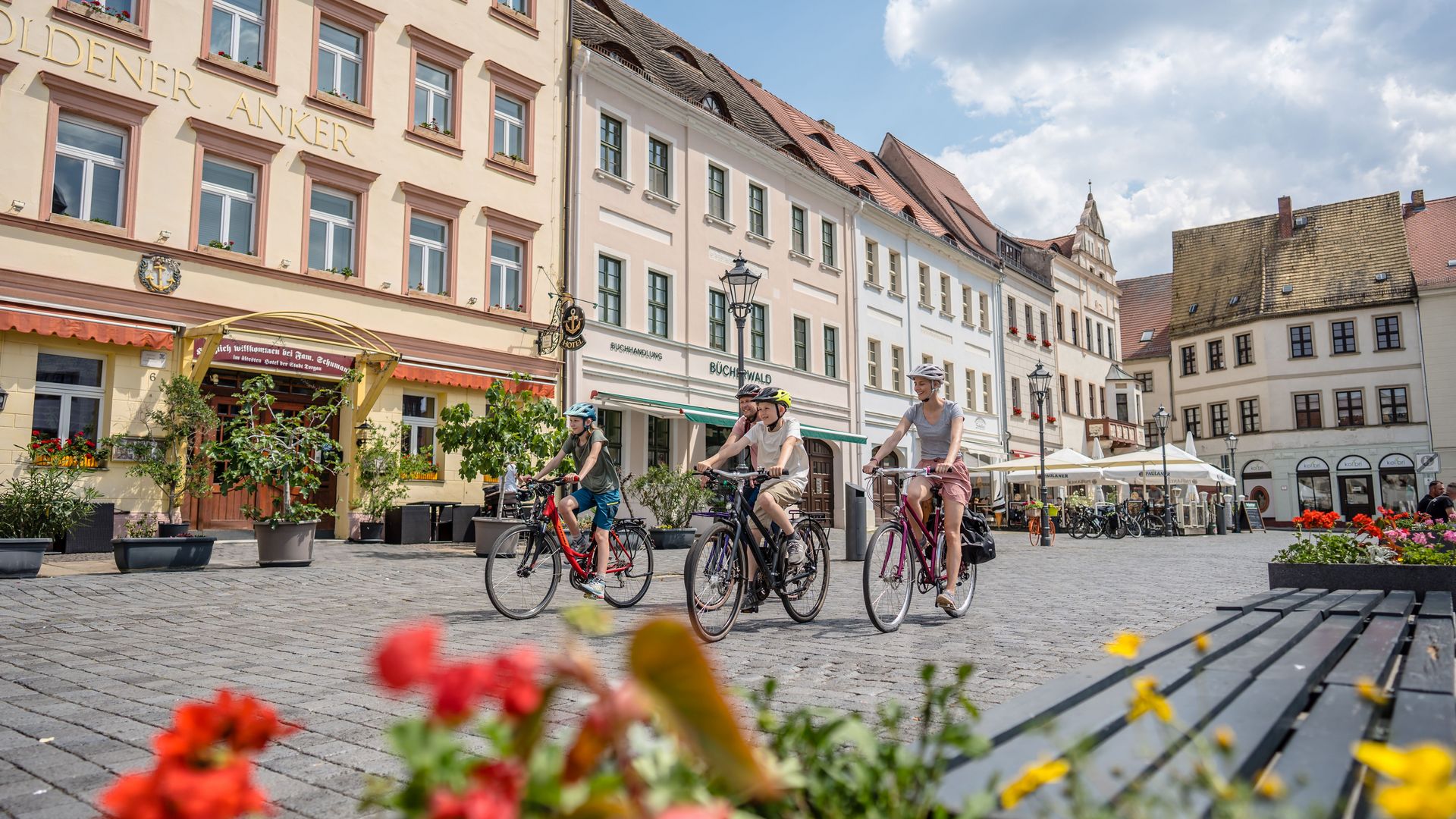 Elberadweg, Torgau