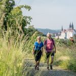 Sächsischer Weinwanderweg, Schönste Weinsicht 2016 Meissen