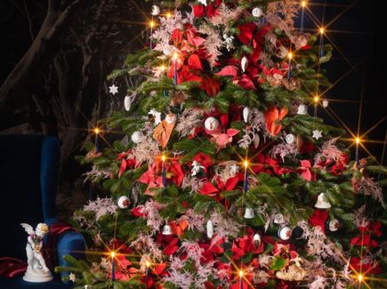 Auf dem Bild ist ein groß gewachsener und wunderschön geschmückter Weihnachtsbaum zu sehen. Er ist gesäumt von weißen Christbaumkugeln und roten Schleifen, die am Weihnachtsbaum hängen.