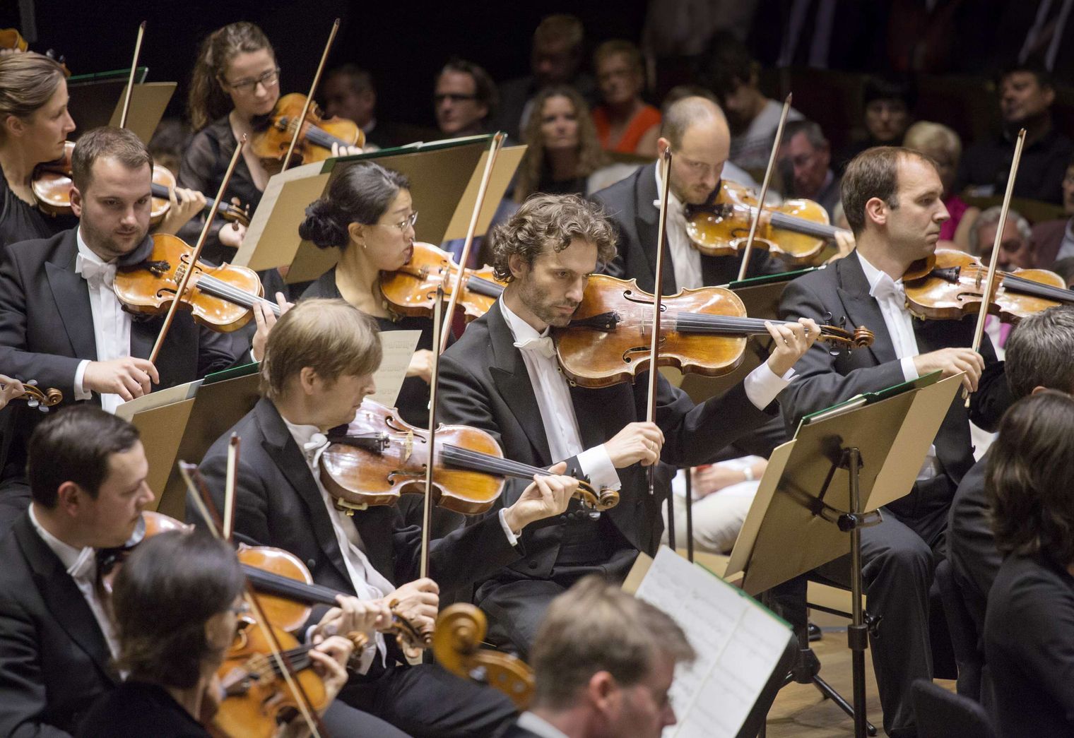 Musiker sitzen bei einem Konzert im Gewandhausorchester mit ihren Bratschen. Sie schauen auf die Noten vor sich. 